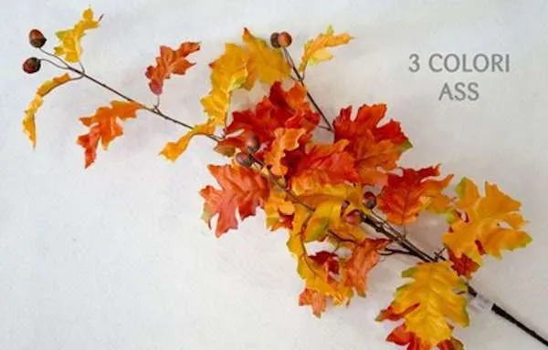 FOGLIE NUT AUTUNNO CON GHIANDE